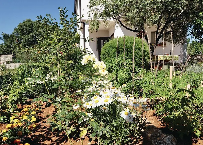 Aquanur-2 By Interhome Appartamento Sovlje